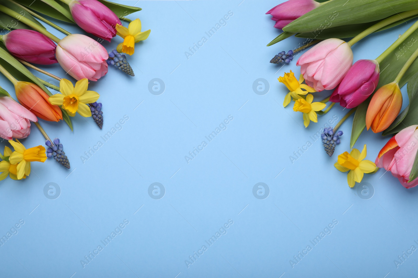 Photo of Beautiful flowers on light blue background, flat lay. Space for text