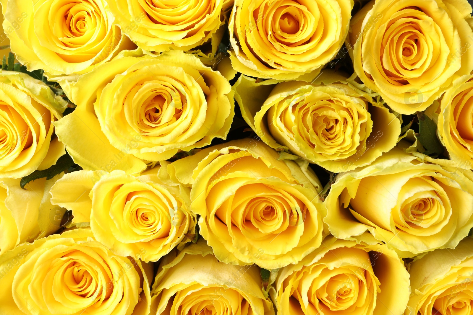 Photo of Beautiful bouquet of yellow roses as background, top view