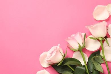 Photo of Beautiful roses and petals on pink background, top view. Space for text