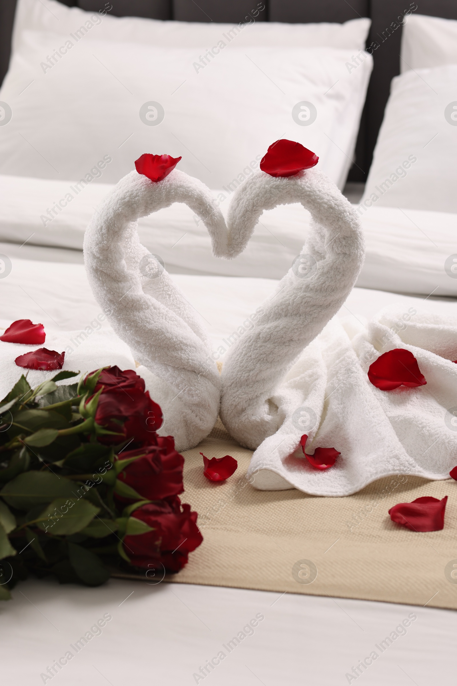 Photo of Honeymoon. Swans made of towels and beautiful red roses on bed