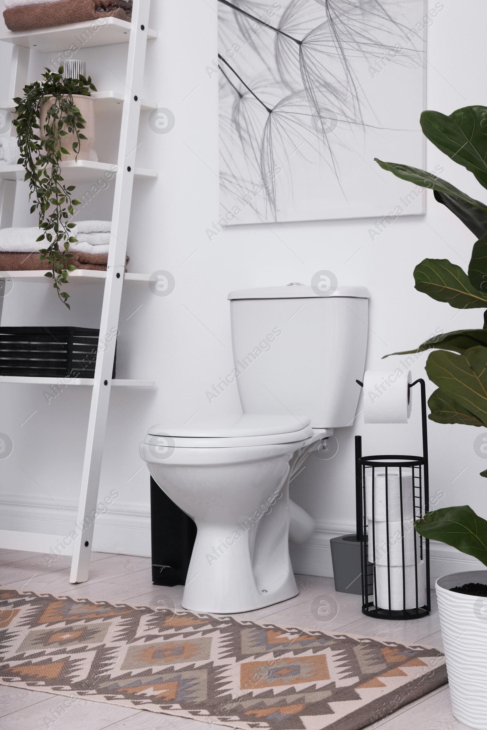 Photo of Ceramic toilet bowl, necessities and houseplants in restroom