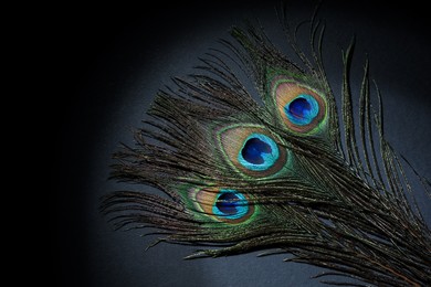 Photo of Many beautiful peacock feathers on black background, top view