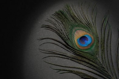 Photo of One beautiful peacock feather on black background, top view. Space for text