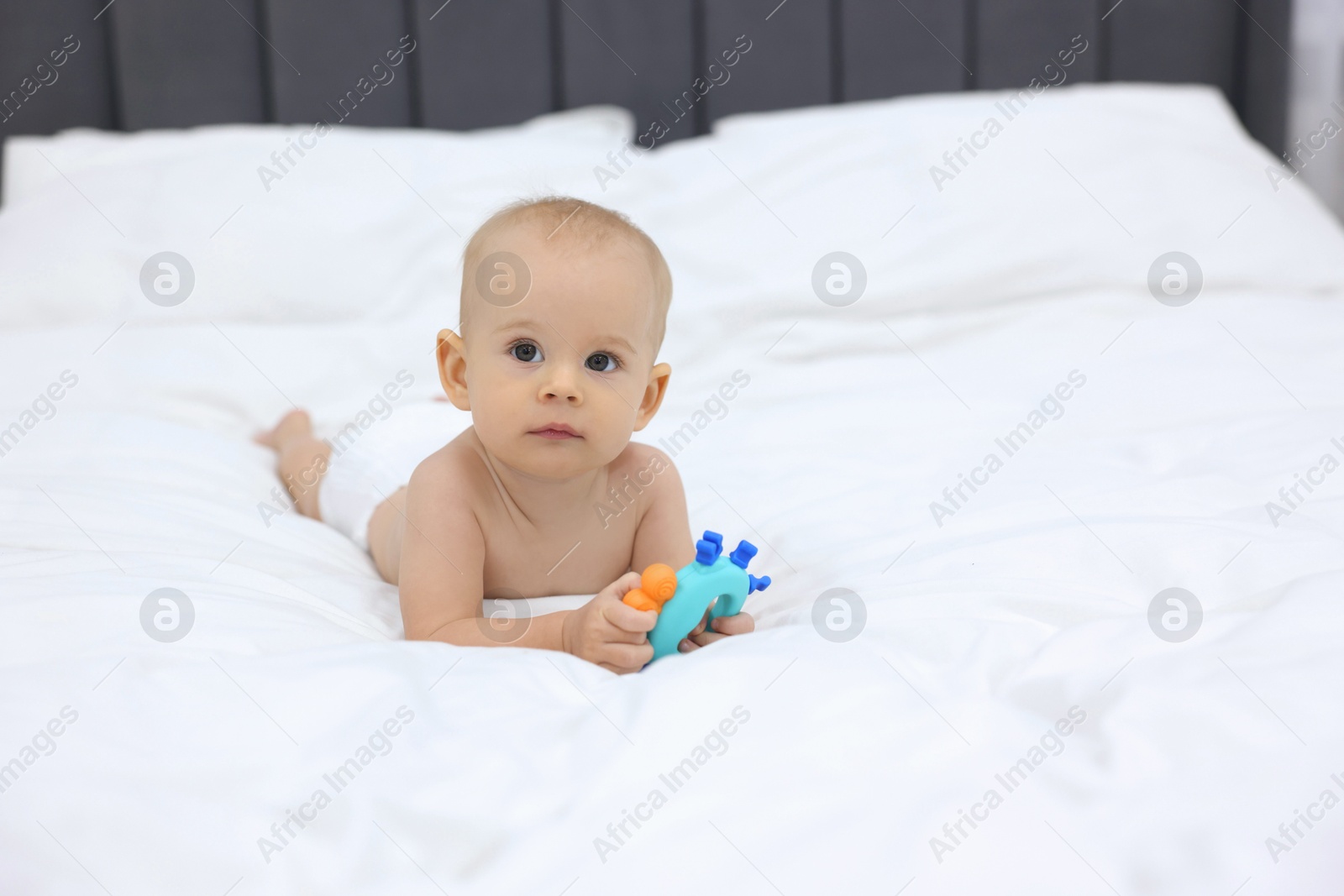 Photo of Cute little baby with rattle on bed indoors, space for text