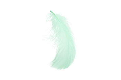 Photo of Fluffy light green feather isolated on white