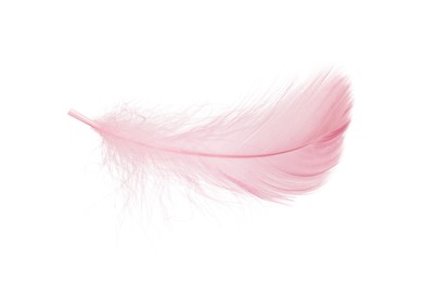 Photo of One fluffy pink feather isolated on white