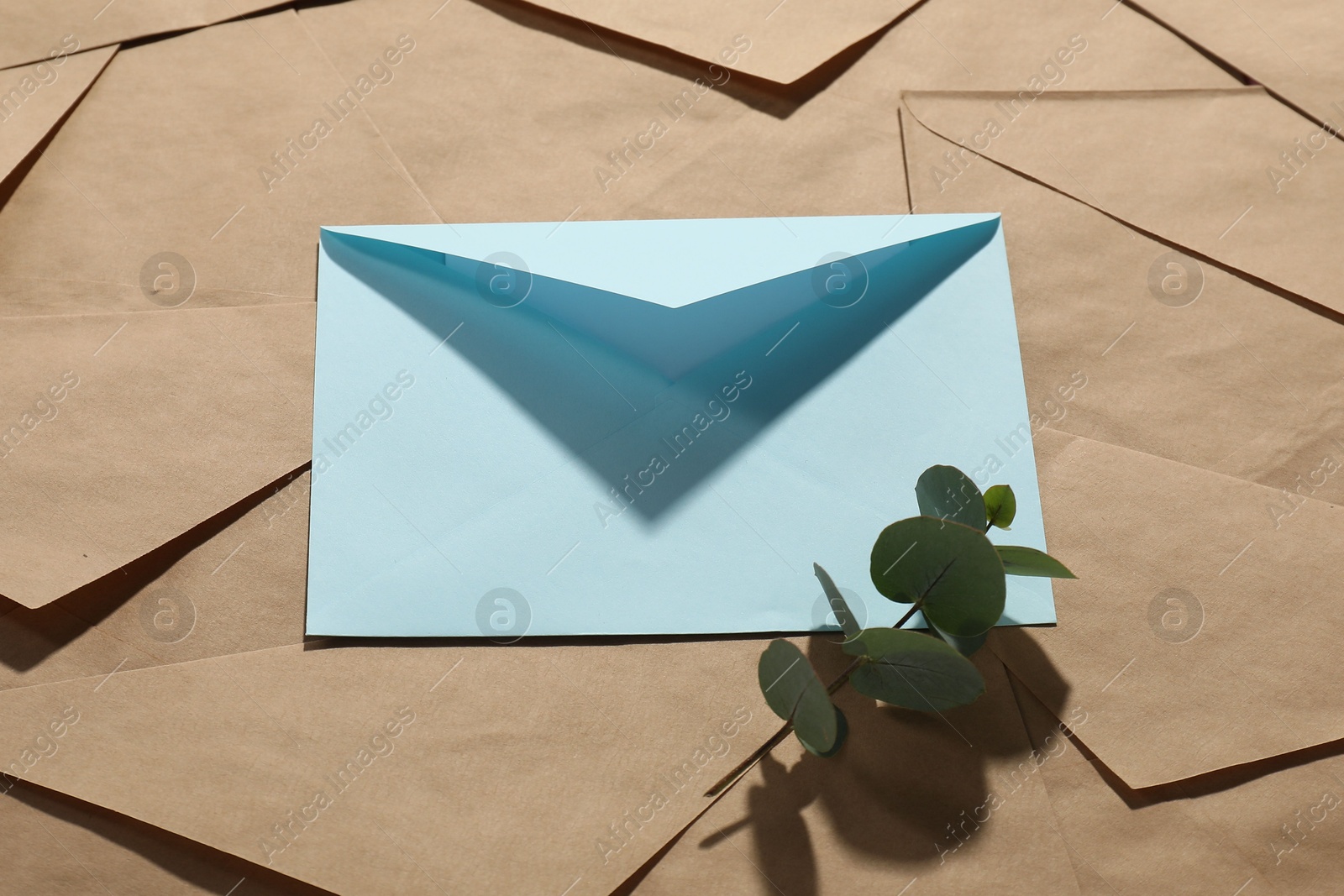 Photo of Paper envelopes and eucalyptus branch as background, above view. Mockup for design