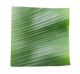 Photo of Piece of banana leaf isolated on white, top view. Traditional meal serving