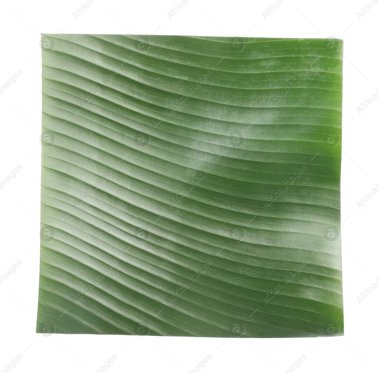 Photo of Piece of banana leaf isolated on white, top view. Traditional meal serving