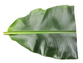 Photo of Piece of banana leaf isolated on white, top view. Traditional meal serving