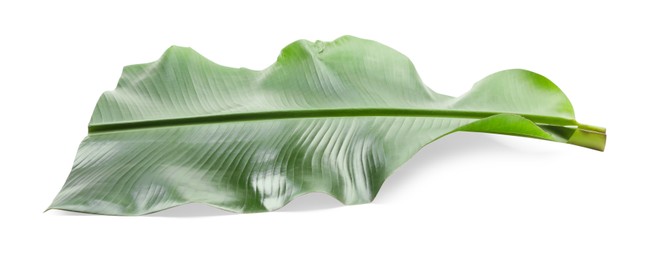 Photo of Piece of banana leaf isolated on white. Traditional meal serving