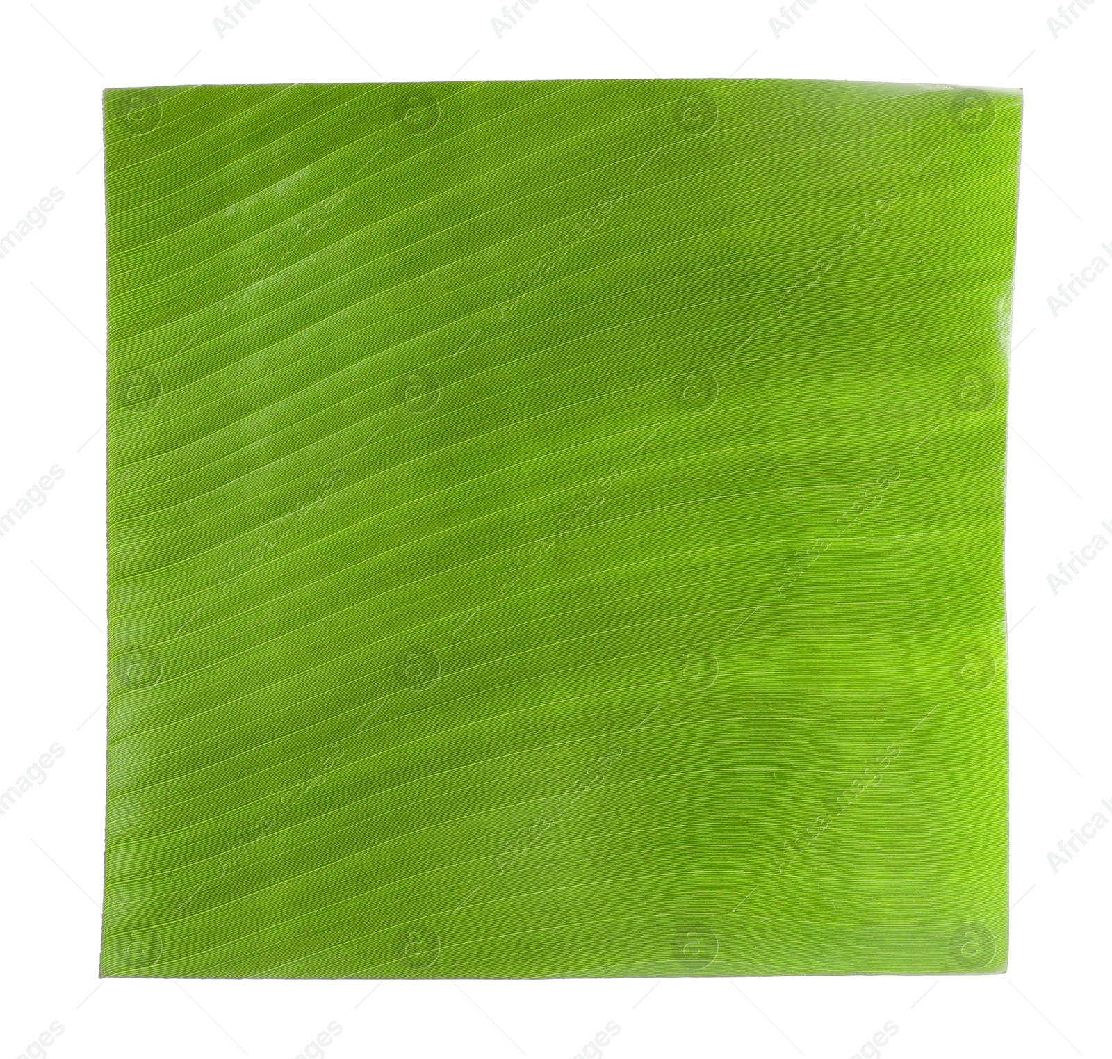 Photo of Piece of banana leaf isolated on white, top view. Traditional meal serving