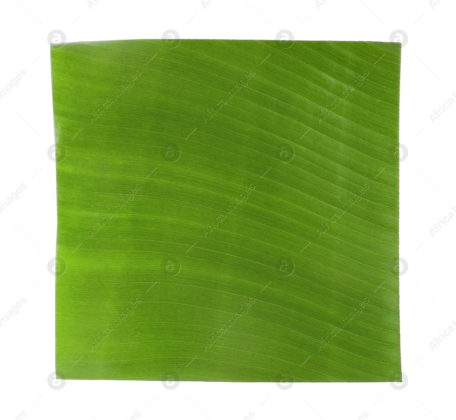 Photo of Piece of banana leaf isolated on white, top view. Traditional meal serving