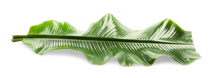 Photo of Piece of banana leaf isolated on white. Traditional meal serving