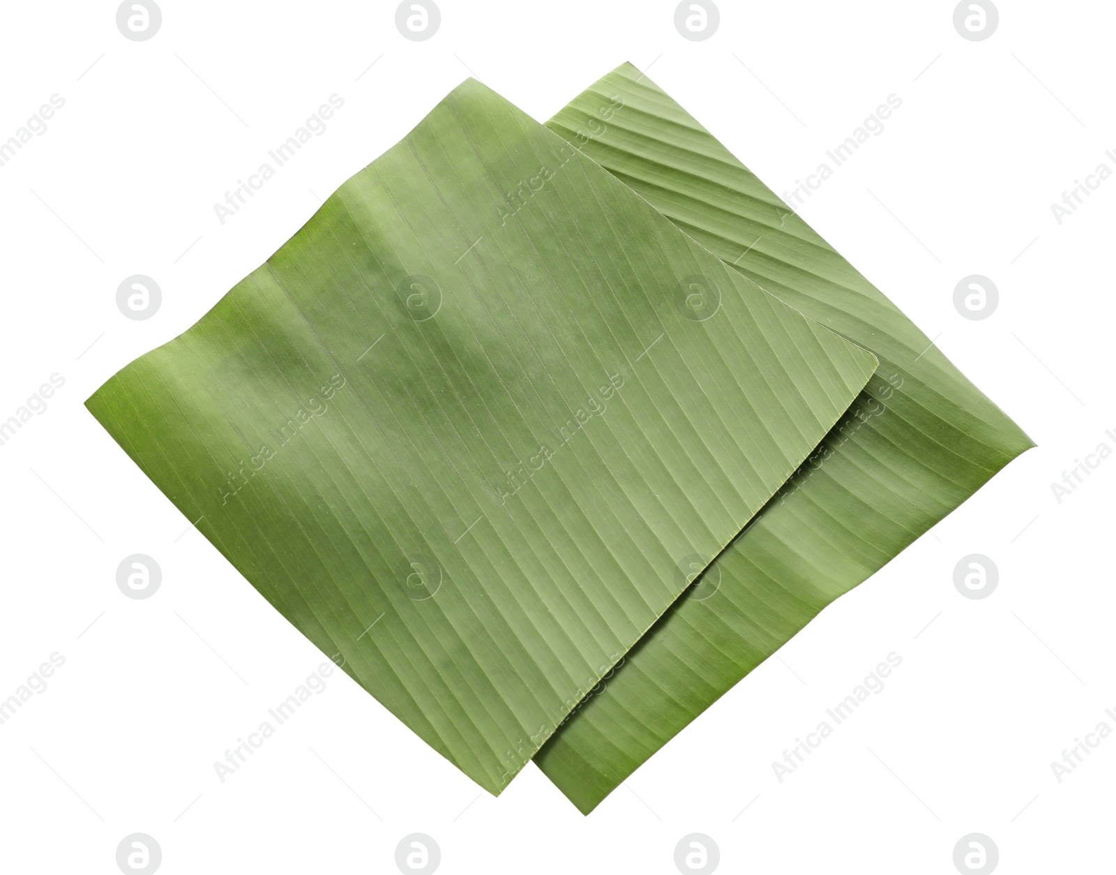 Photo of Pieces of banana leaves isolated on white. Traditional meal serving