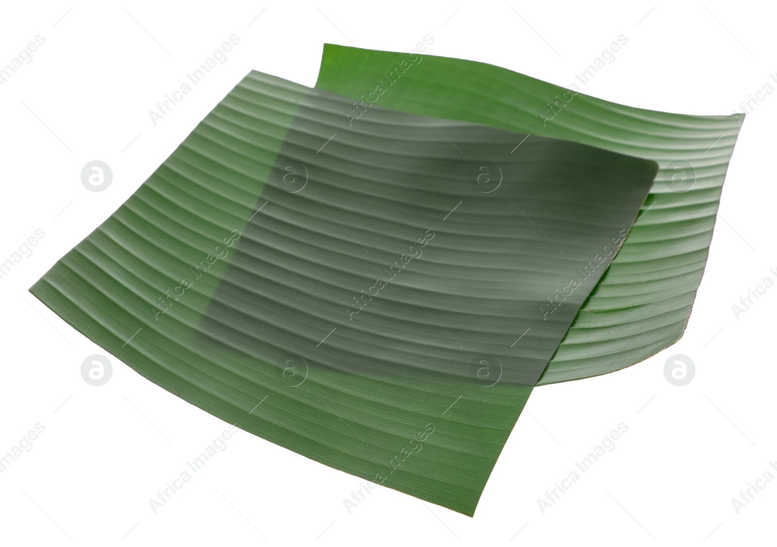 Photo of Pieces of banana leaves isolated on white. Traditional meal serving