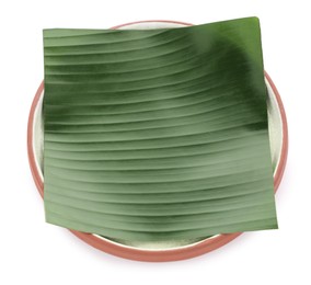 Photo of Piece of banana leaf isolated on white. Traditional meal serving