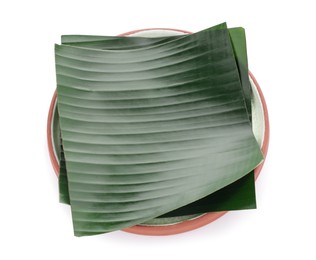 Photo of Pieces of banana leaves isolated on white. Traditional meal serving