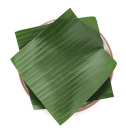 Photo of Pieces of banana leaves isolated on white, top view. Traditional meal serving