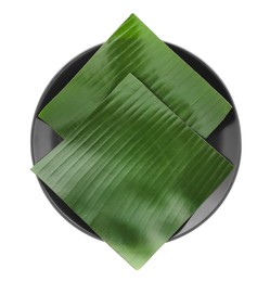 Photo of Pieces of banana leaves isolated on white, top view. Traditional meal serving