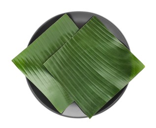 Photo of Pieces of banana leaves isolated on white, top view. Traditional meal serving