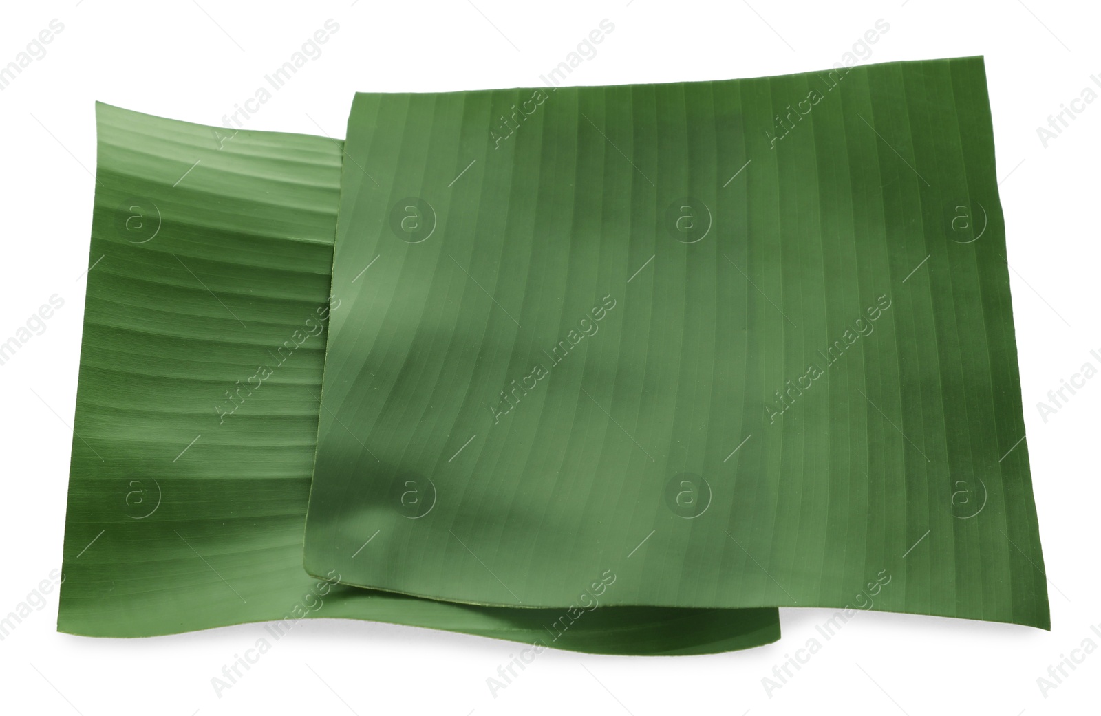 Photo of Pieces of banana leaves isolated on white. Traditional meal serving