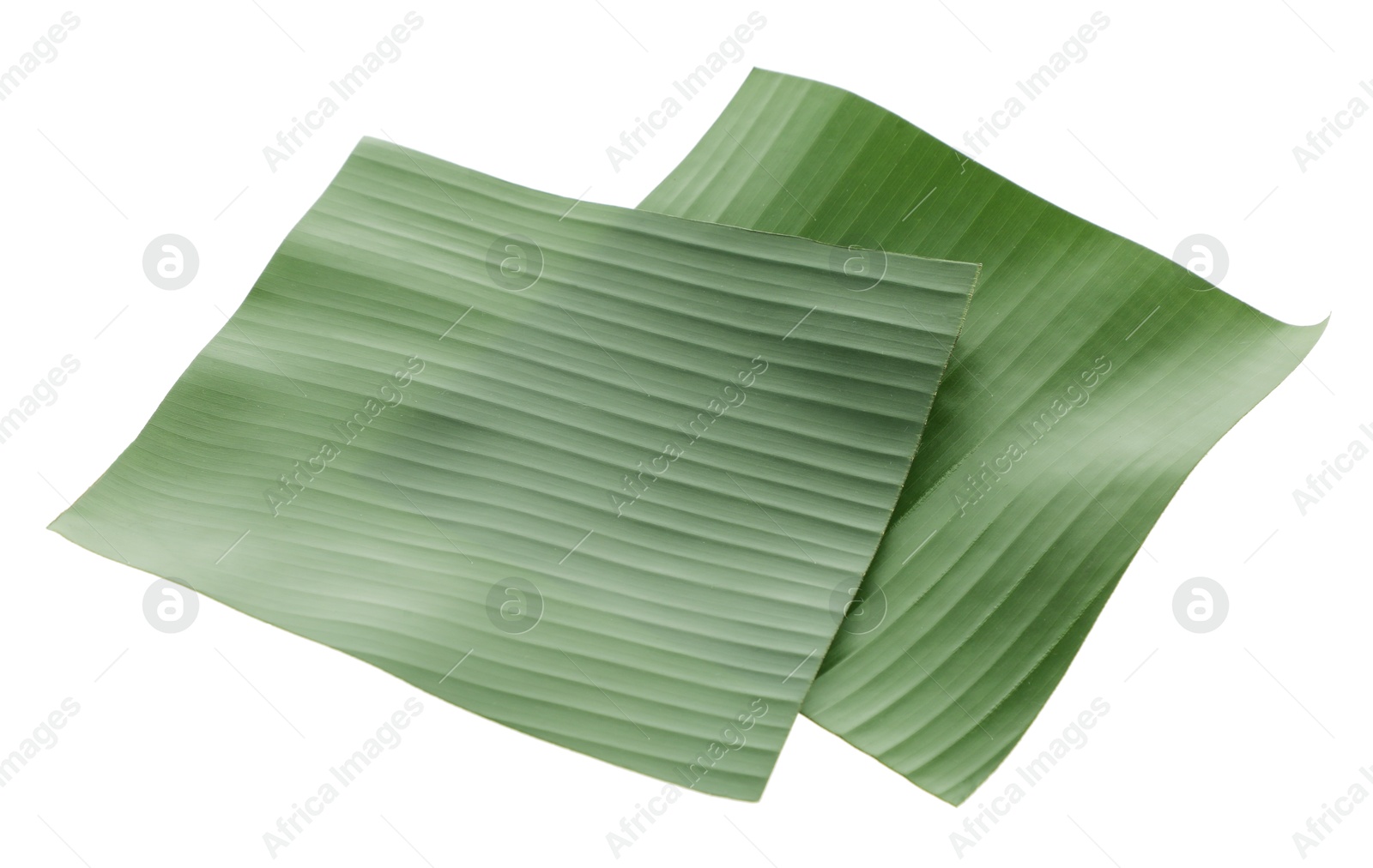 Photo of Pieces of banana leaves isolated on white. Traditional meal serving