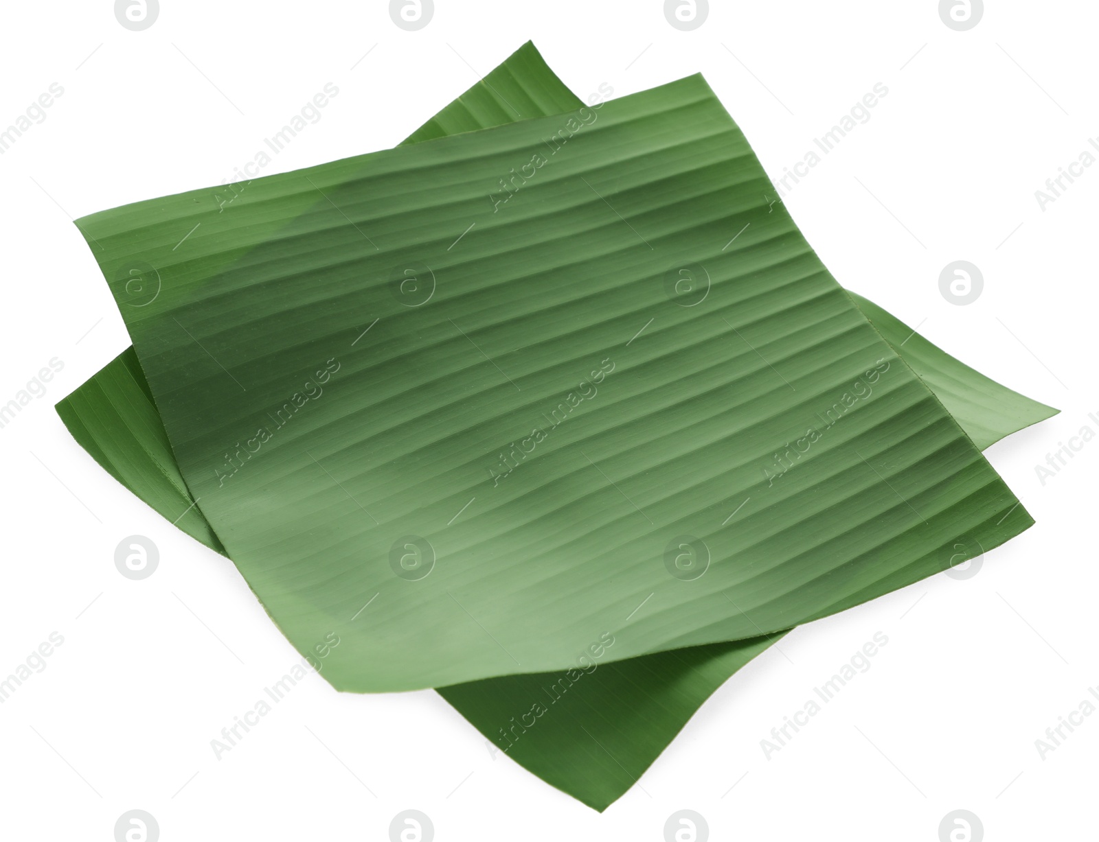 Photo of Pieces of banana leaves isolated on white. Traditional meal serving