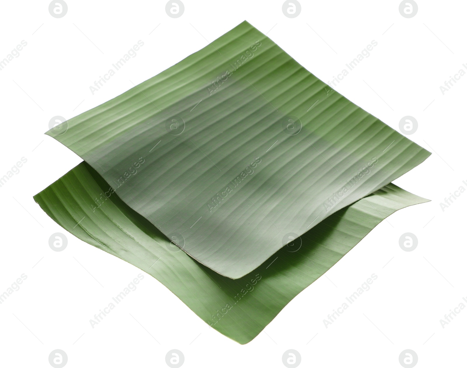 Photo of Pieces of banana leaves isolated on white. Traditional meal serving