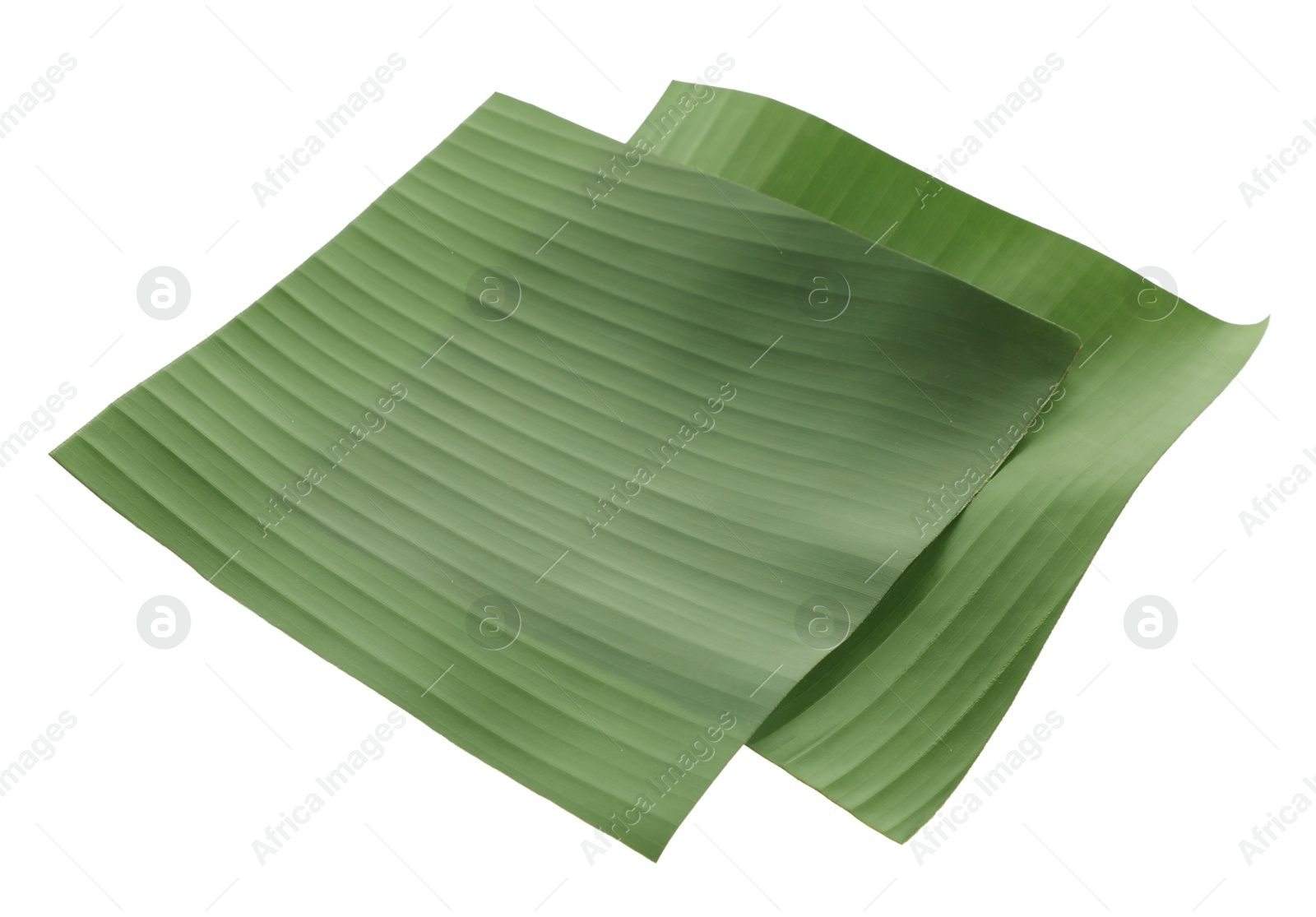 Photo of Pieces of banana leaves isolated on white. Traditional meal serving