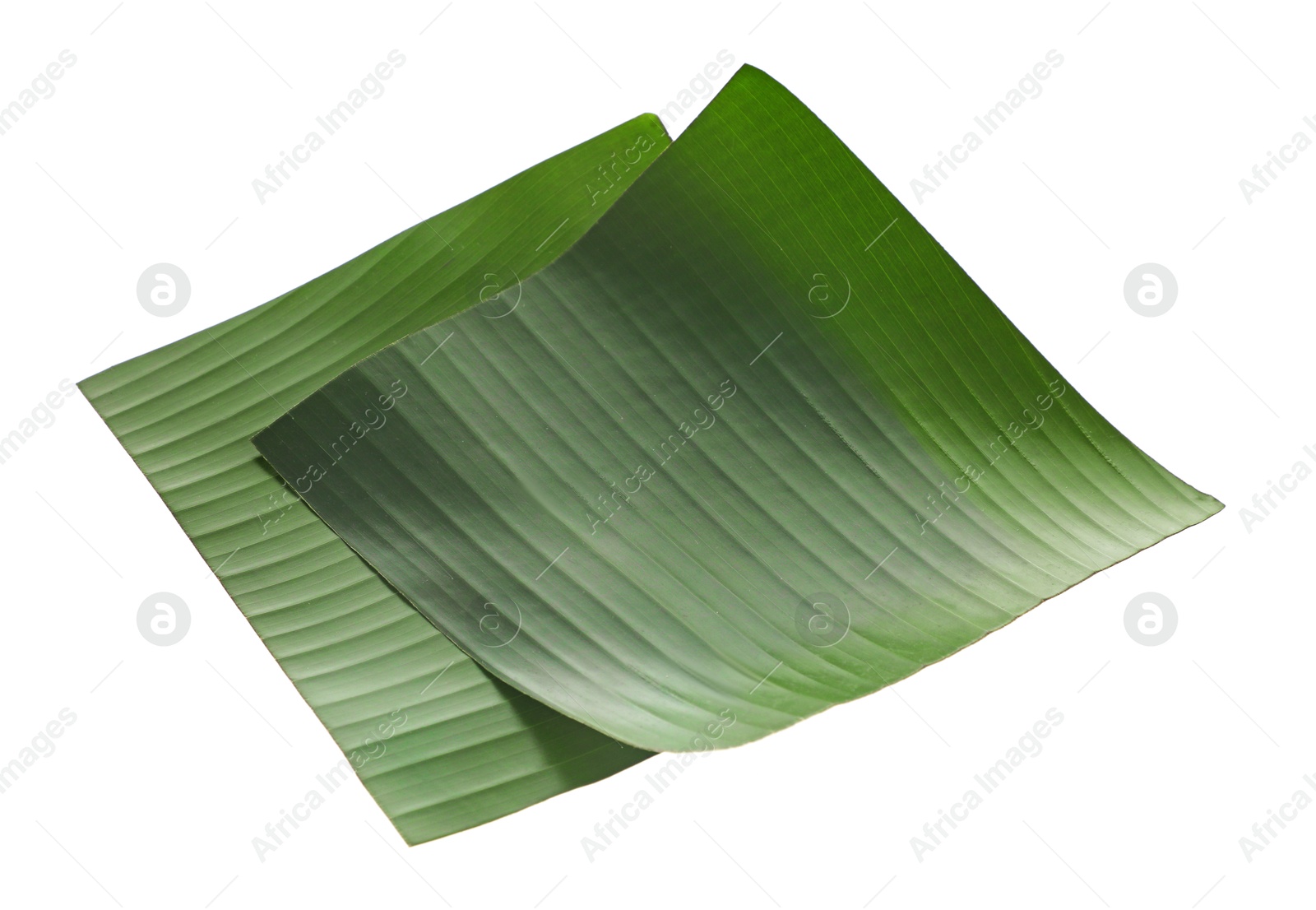 Photo of Pieces of banana leaves isolated on white. Traditional meal serving