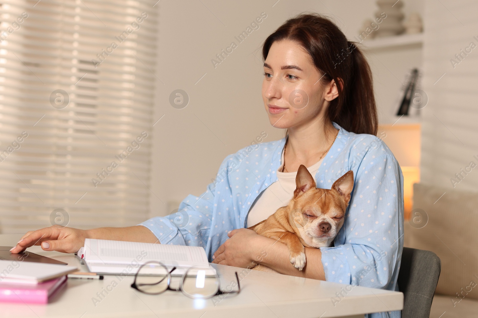 Photo of Young woman with her cute dog working on laptop at desk in home office. Space for text