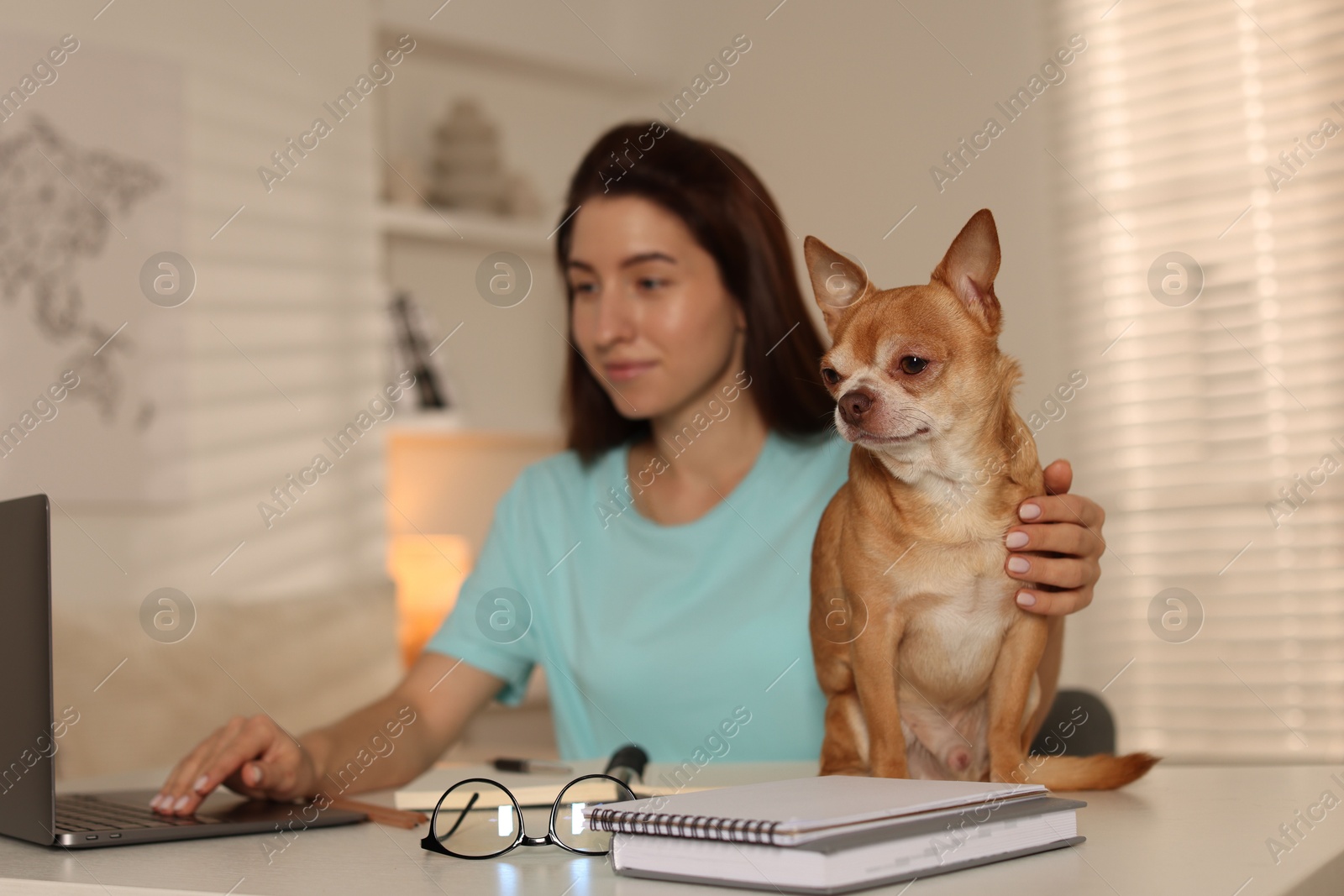 Photo of Young woman with her cute dog working on laptop at desk in home office, selective focus