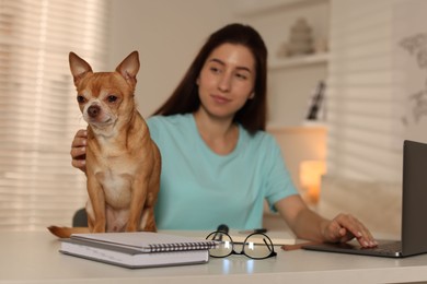 Young woman with her cute dog working on laptop at desk in home office, selective focus