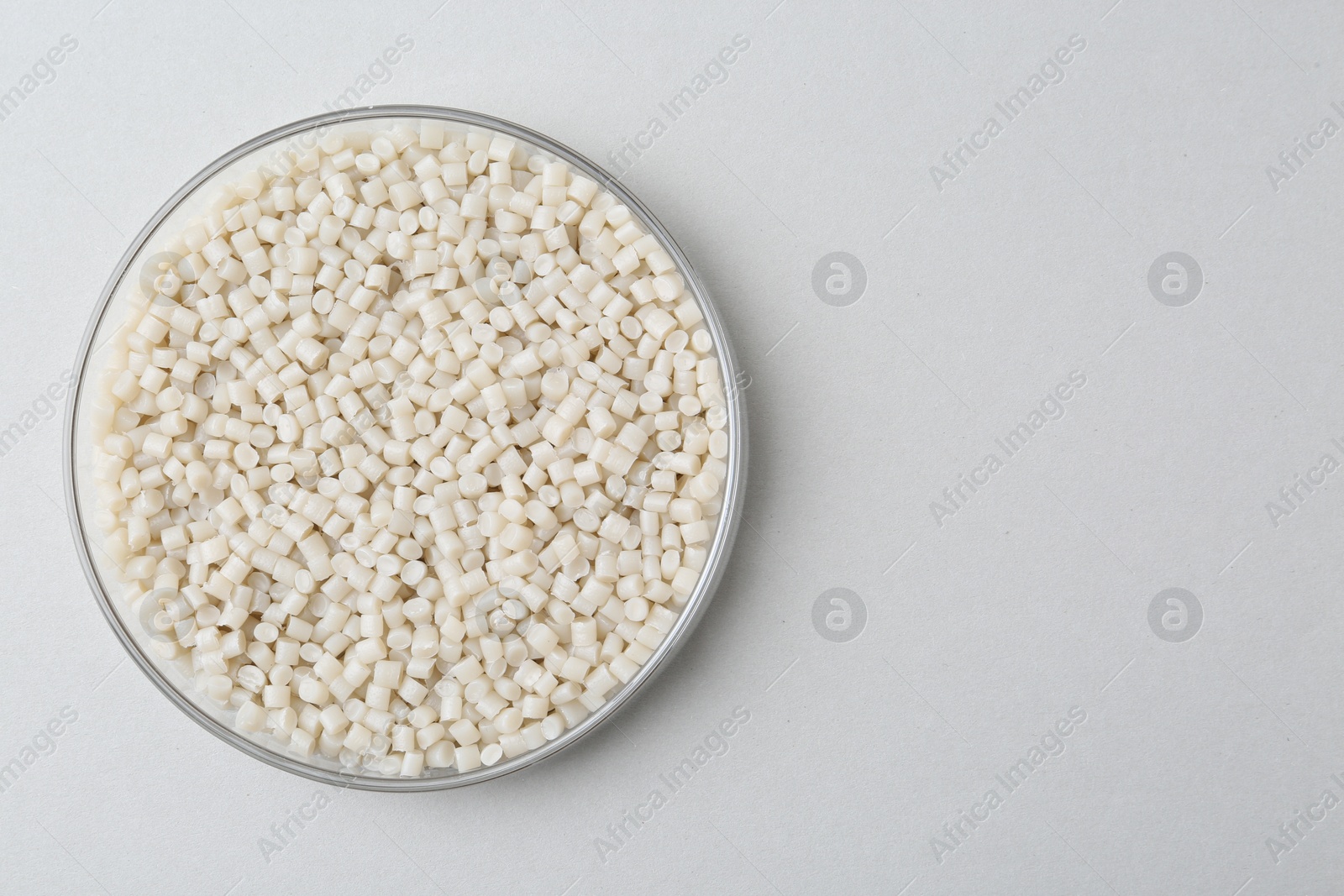 Photo of Plastic granules in petri dish on gray background, top view. Space for text