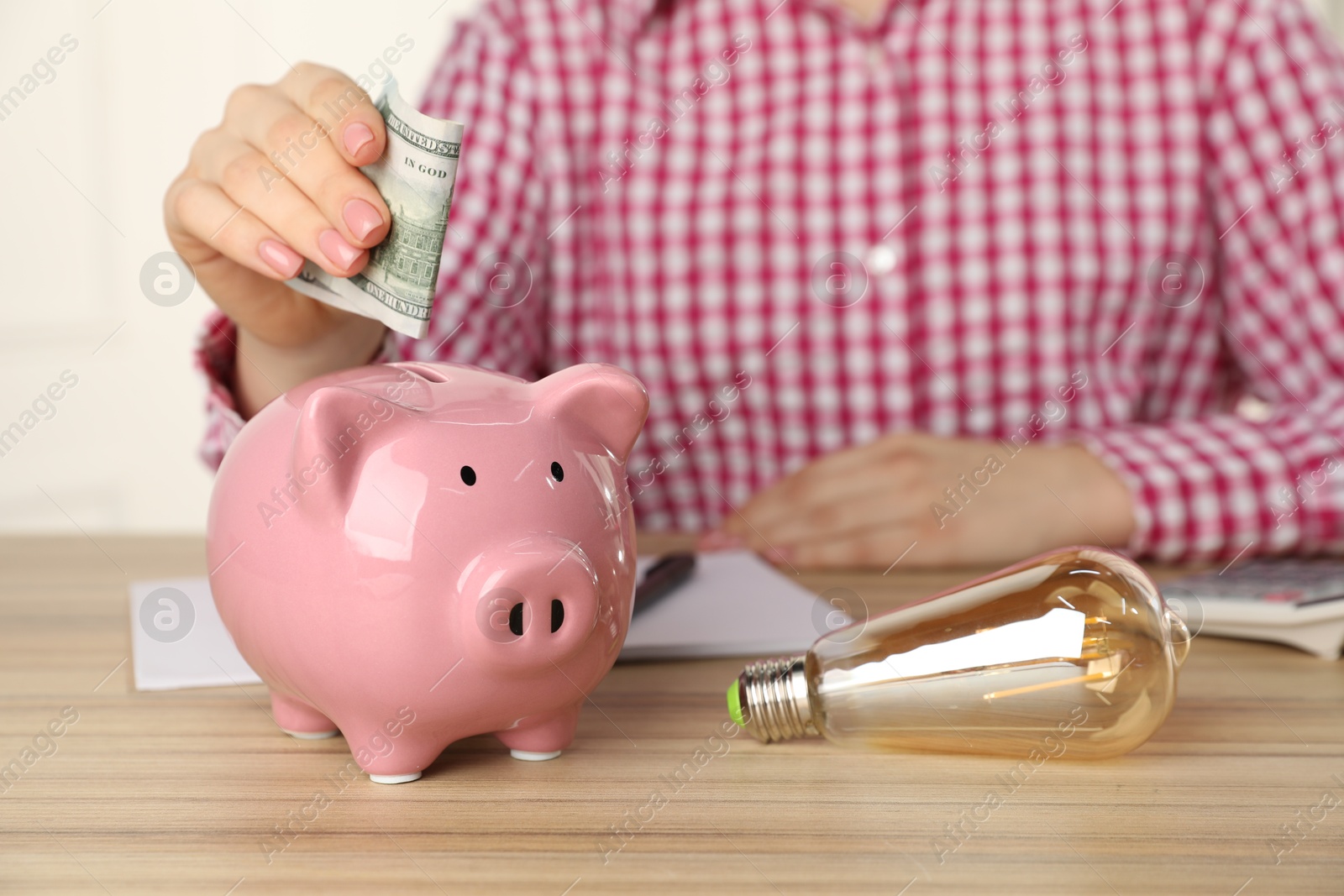 Photo of Woman putting dollar banknote into piggy bank at wooden table, closeup. Energy saving concept