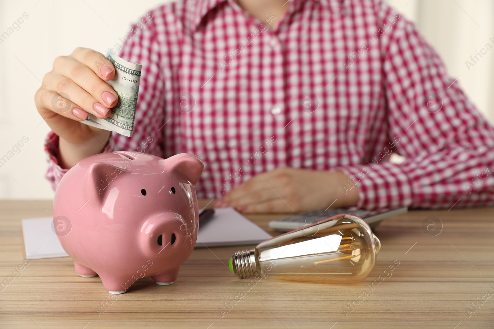 Photo of Woman putting dollar banknote into piggy bank at wooden table, closeup. Energy saving concept