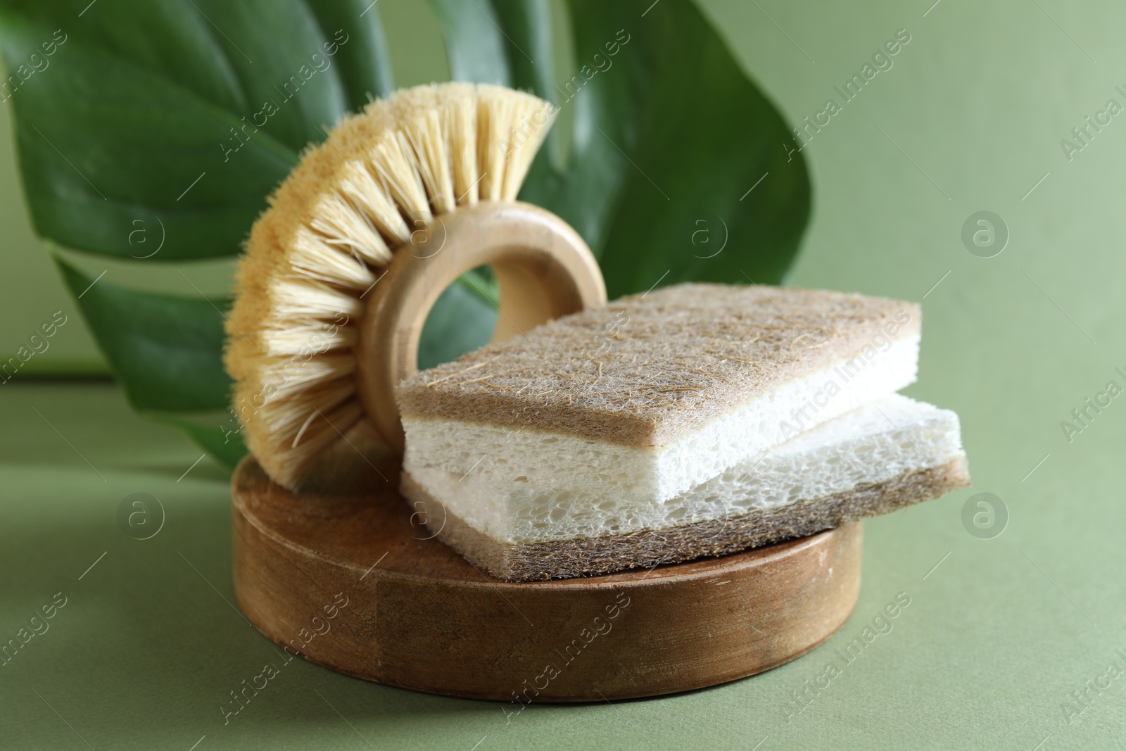 Photo of Composition with sponges and brush on green background, closeup