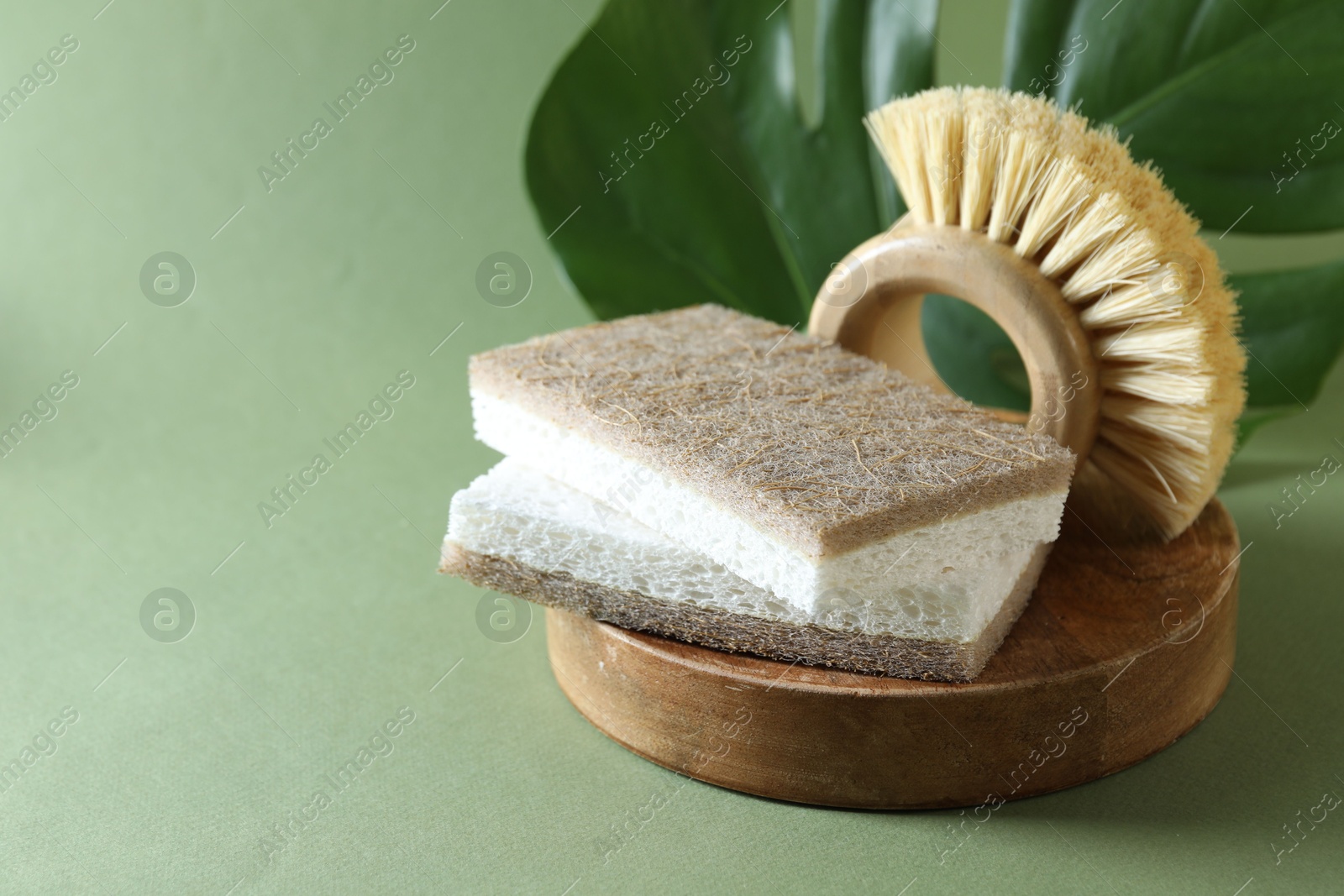 Photo of Composition with sponges and brush on green background, closeup. Space for text