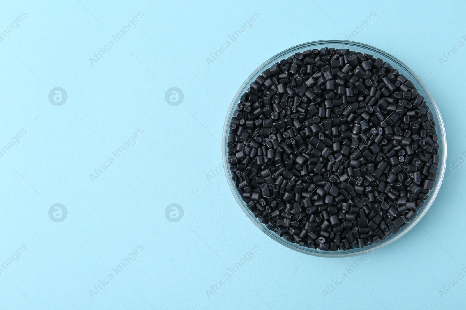 Photo of Black plastic granules in petri dish on light blue background, top view. Space for text