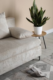 Photo of Comfortable sofa and end table with houseplant near beige wall