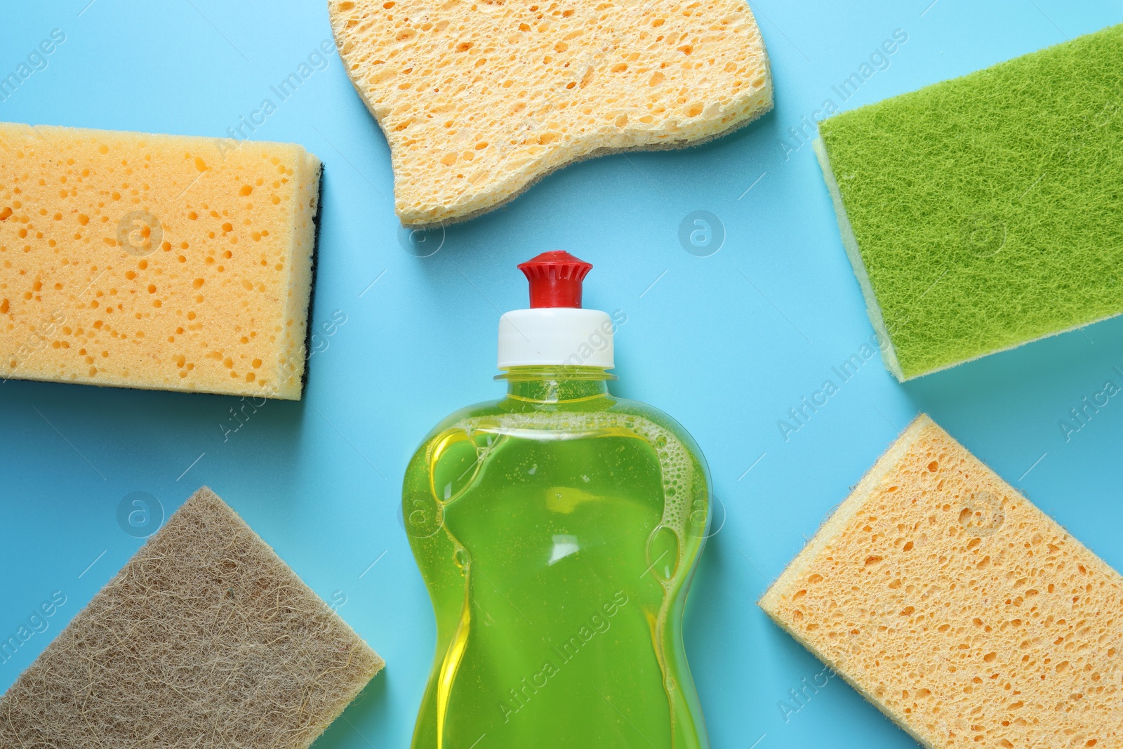 Photo of Different sponges and bottle with detergent on light blue background, flat lay