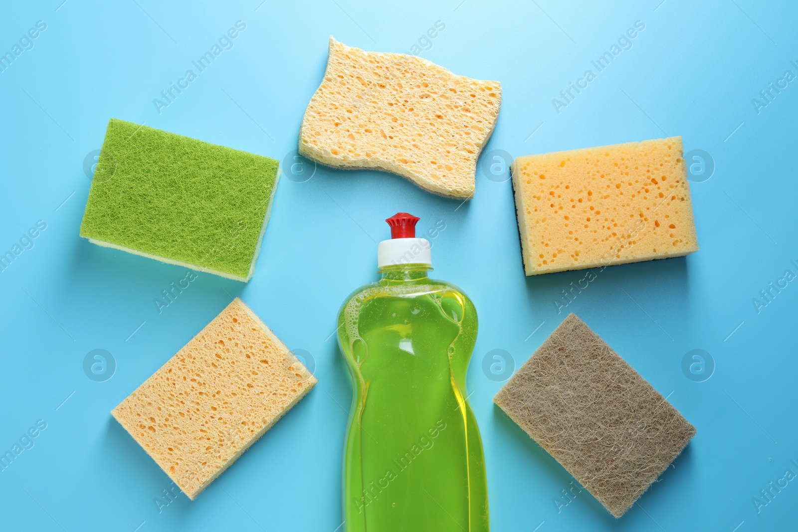 Photo of Different sponges and bottle with detergent on light blue background, flat lay