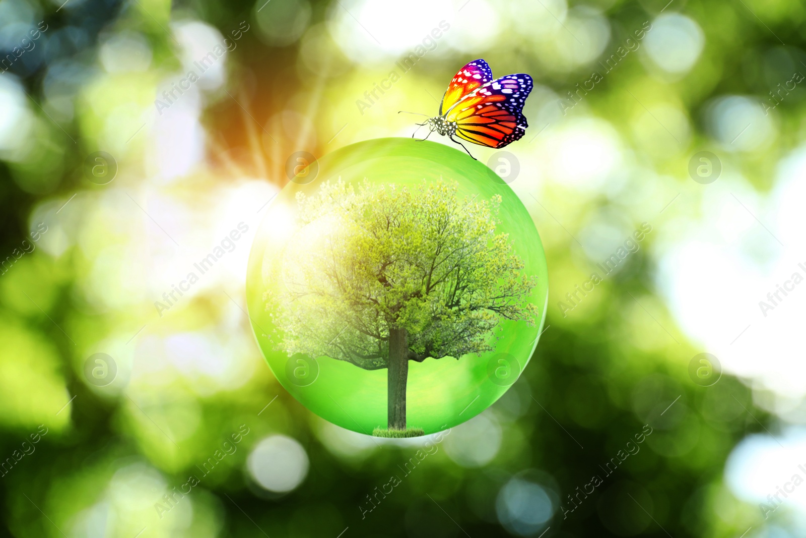 Image of Save Earth. Butterfly on crystal globe with tree inside outdoors