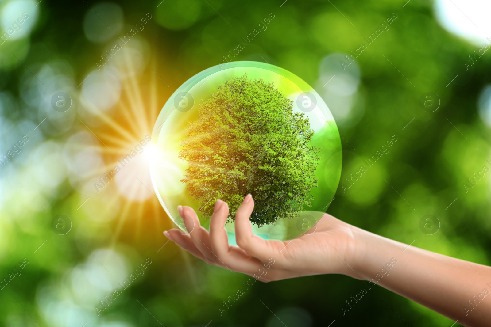 Image of Save Earth. Woman holding crystal ball with green tree inside outdoors, closeup