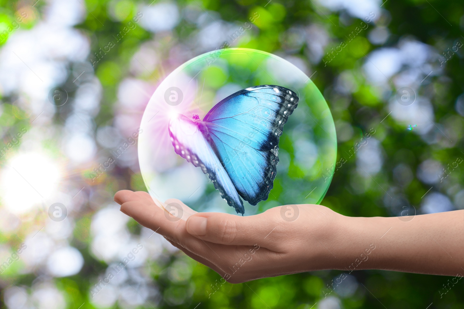 Image of Save Earth. Woman holding crystal ball with beautiful butterfly inside outdoors, closeup