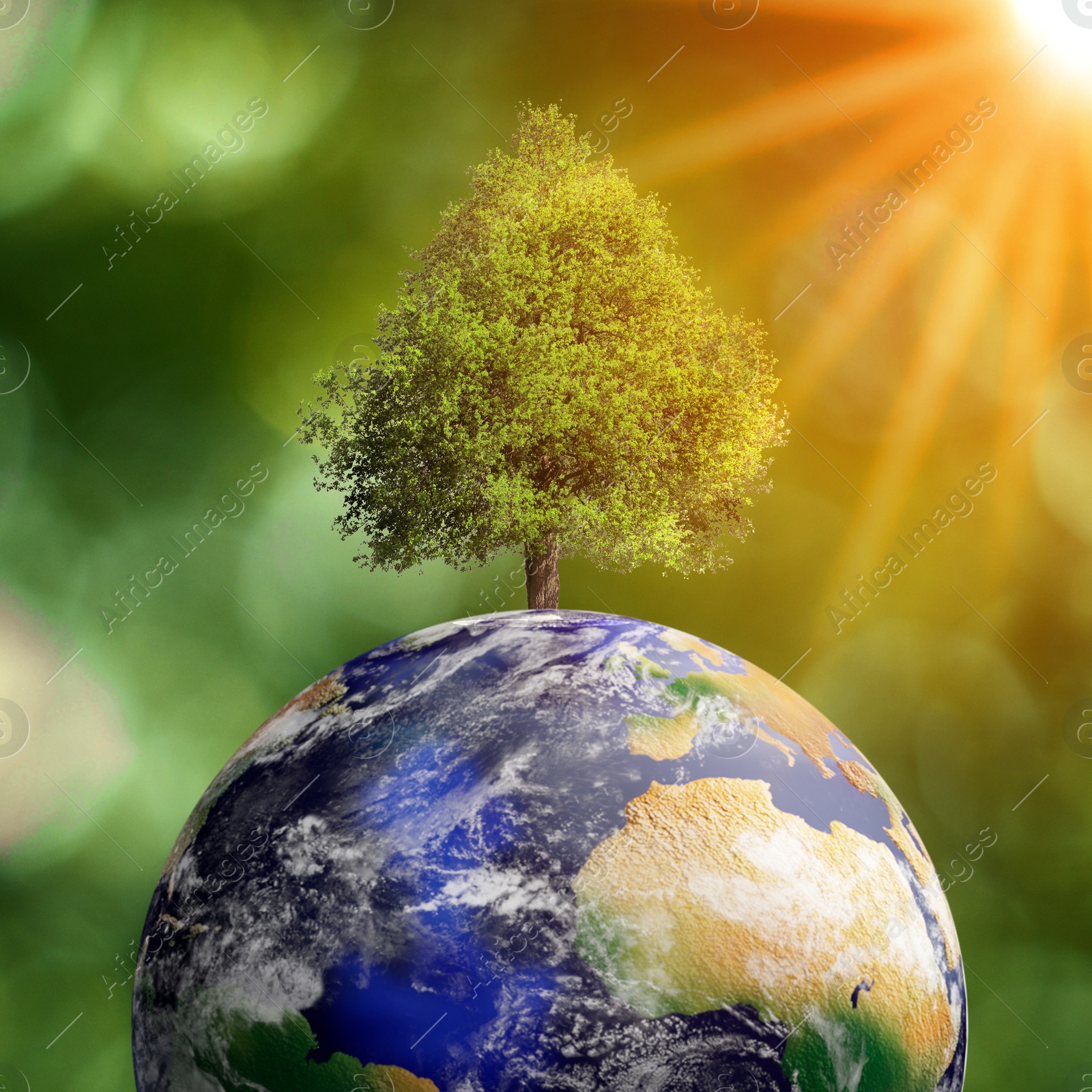 Image of Save Earth. Tree growing on globe in sunlight on blurred green background