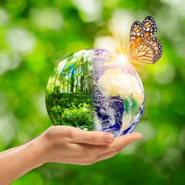 Image of Save Earth. Woman holding ball halved on planet and forest outdoors, closeup. Butterfly on globe