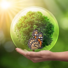 Save Earth. Woman holding crystal ball with green tree inside outdoors, closeup. Butterfly on hand