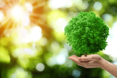 Image of Save Earth. Woman holding green tree in sunlight outdoors, closeup